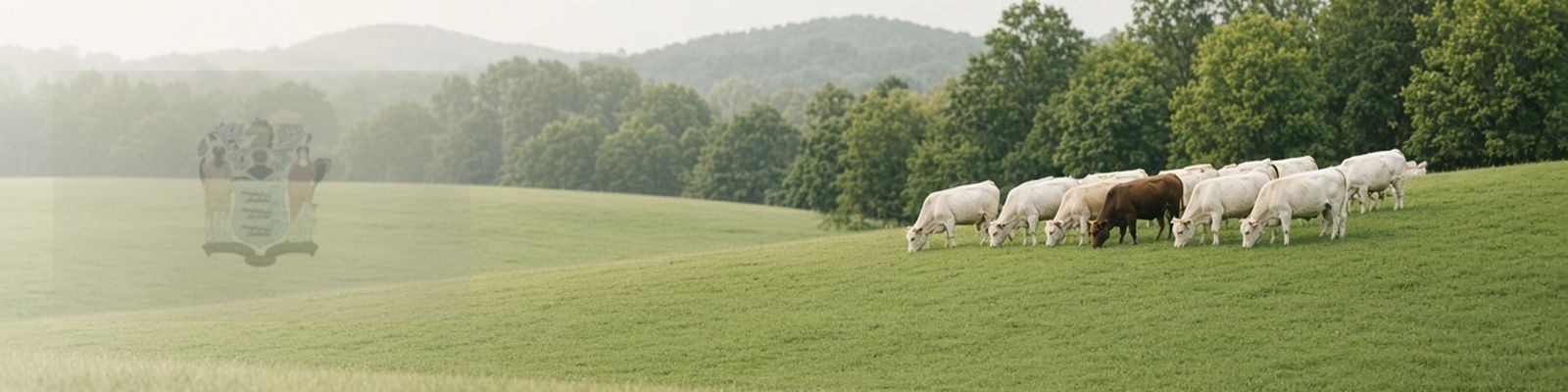 Faded New Jersey flag beside cattle grazing a green pasture with hardwood tree lines.