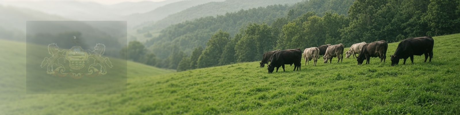 Faded Pennsylvania flag beside cattle grazing a rolling pasture below wooded ridges.