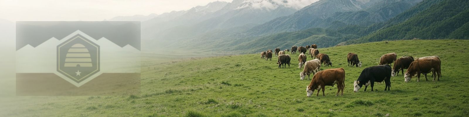 Faded Utah flag beside cattle grazing a mountain valley pasture below the Wasatch peaks.